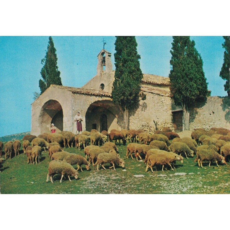 EYGALIERES - BERGERES ET MOUTONS A LA CHAPELLE SAINT-SIXTE - CARTE DATEE DE 1972.