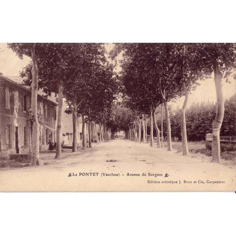 LE PONTET - AVENUE DE SORGUES - CARTE DATEE DE 1914.