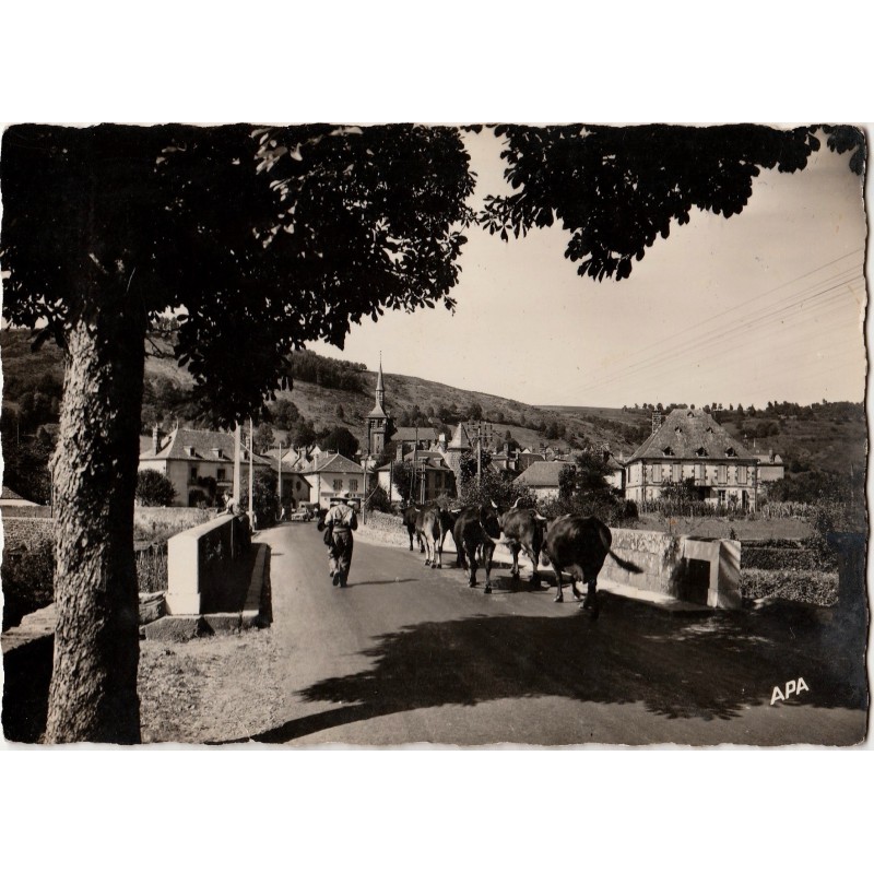 SAINT MARTIN VALMEROUX - VUE D'ENSEMBLE PRISE DU PONT - CARTE DATEE DE 1960.