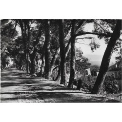 CAROMB - MONTEE DES PINS -...