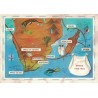 ESPAGNE - LES CANARIES - AMORA- PERIPLE EN AFRIQUE AUSTRALE - 1963/64 - ESCALE LAS PALMAS - COTE 30€ - TACHE.