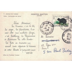 TUNISIE - PERIPLE AMORA 1968-69 -  MOUTARDE - AMORA - ESCALE EN TUNISIE - COTE 30€.