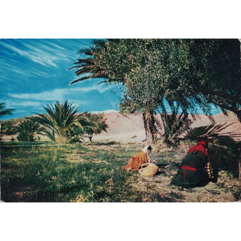 TUNISIE - PERIPLE AMORA 1968-69 -  MOUTARDE - AMORA - ESCALE EN TUNISIE - COTE 30€.