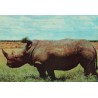 CROISIERE UN SIECLE APRES LIVINGSTONE - N°9 - KENYA - RHINOCEROS - PLASMARINE - IONYL - 1956-1957