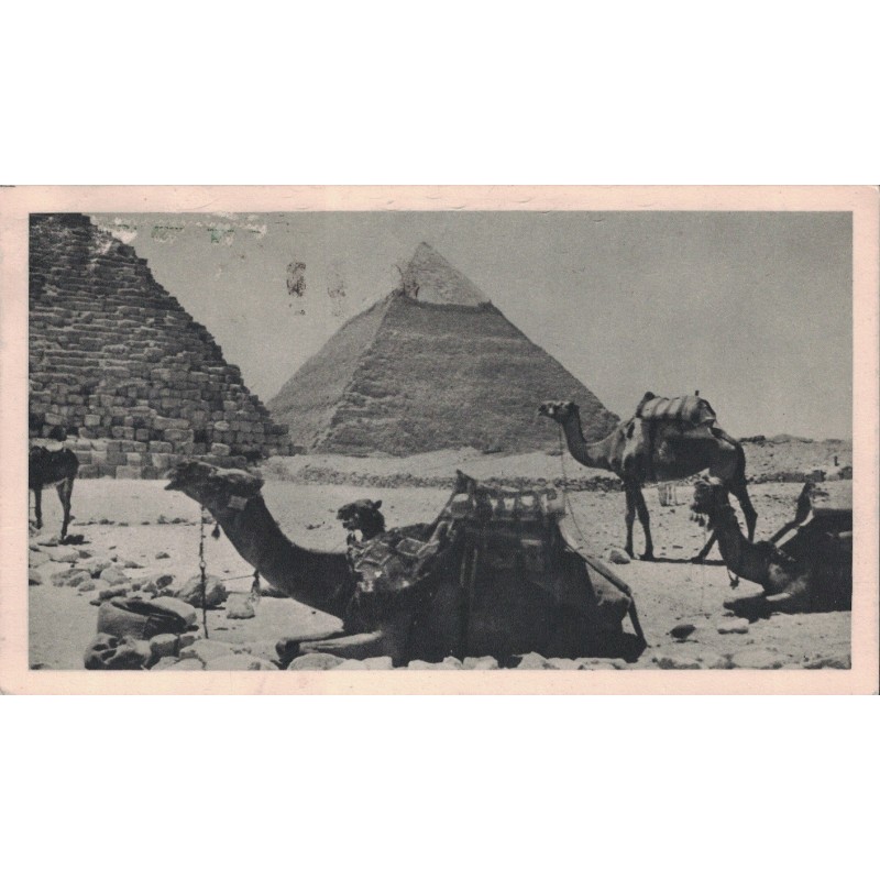 CROISIERE MEDITERRANEENNE D'IONYL - EGYPTE - LE CAIRE - LES PYRAMIDES - IONYL - 1950-1951.