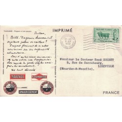 CROISIERE ATLANTIQUE DE PLASMARINE - FALKLAND - PINGOUIN ET SON POUSSIN - PLASMARINE - 1951-1952..