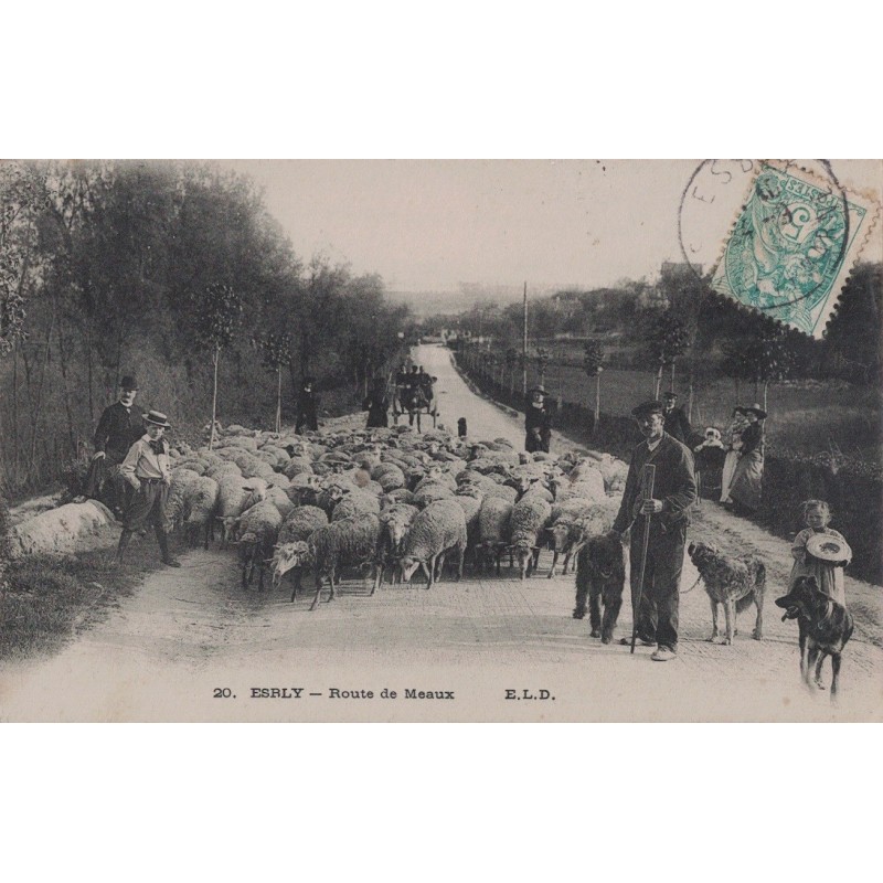 ESBLY - ROUTE DE MEAUX - BERGERS - TROUPEAU DE MOUTON - ANIMATION - CARTE POSTALE DATEE DE 1906.