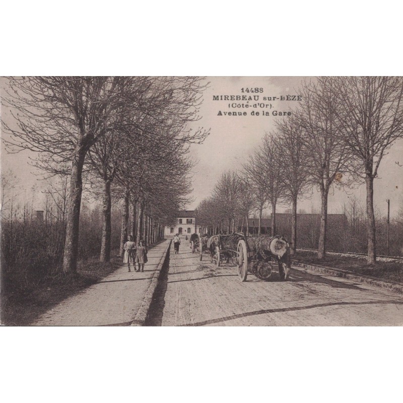 MIREBEAU SUR BEZE - AVENUE DE LA GARE - TRANSPORT DE BOIS - CARTE NON CIRCULEE.