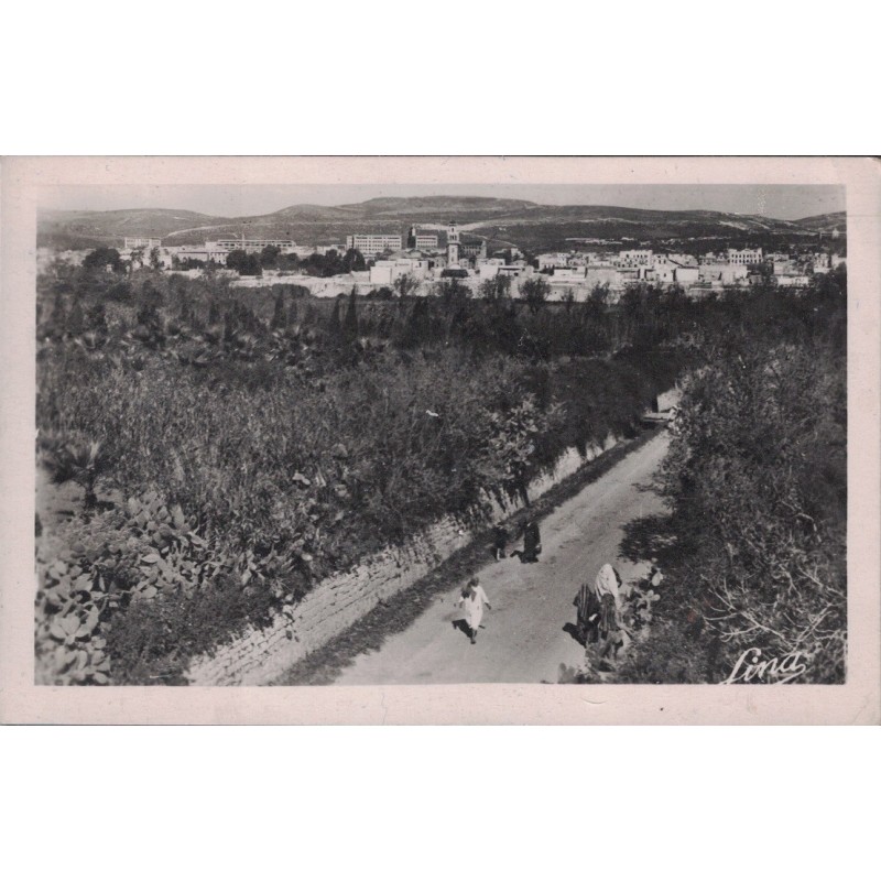 BIZERTE - VUE GENERALE DE LA ROUTE DE BEN-NEGRO - CARTE DATEE DE 1950.