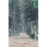 PERPIGNAN - PROMENADE DES PLATANES - CARTE DATEE DE 1912.