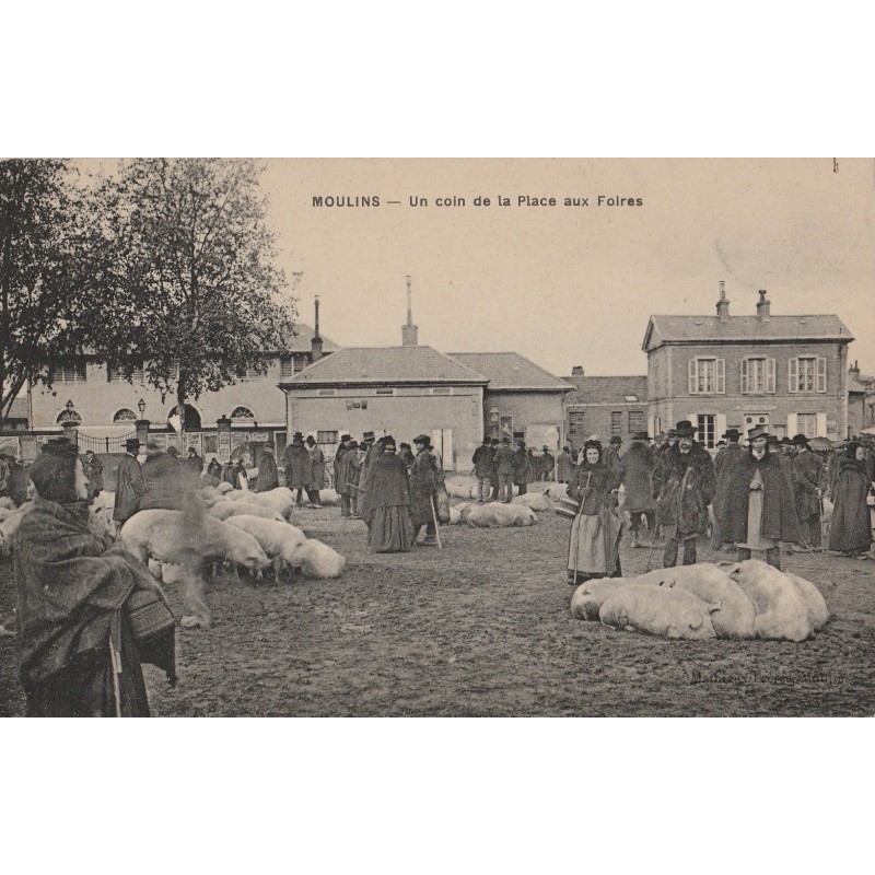 MOULINS - UN COIN DE LA PLACE AUX FOIRES - FOIRE AUX COCHONS - CARTE DATEE DE 1909.