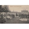 MOULINS - UN COIN DE LA PLACE AUX FOIRES - FOIRE AUX COCHONS - CARTE DATEE DE 1909.