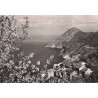 CANARI - PRINTEMPS AU CAP CORSE - CARTE DATEE DE 1957.