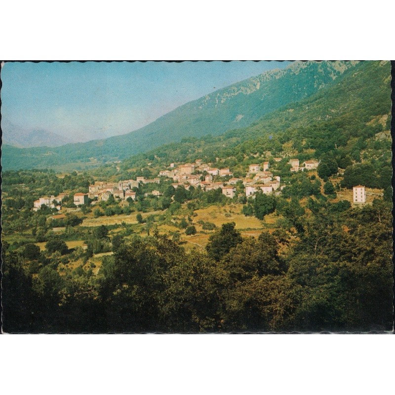 UCCIANI - VUE GENERALE - CARTE DATEE DE 1974.