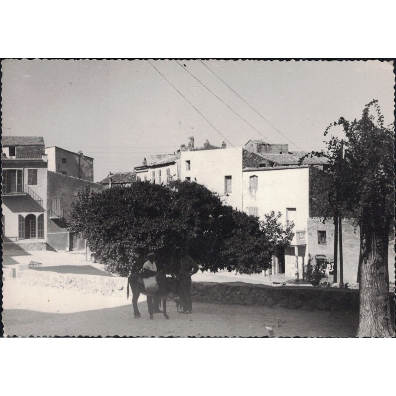 MONTICELLO - LE HAUT VILLAGE - CARTE DATEE DE 1964.