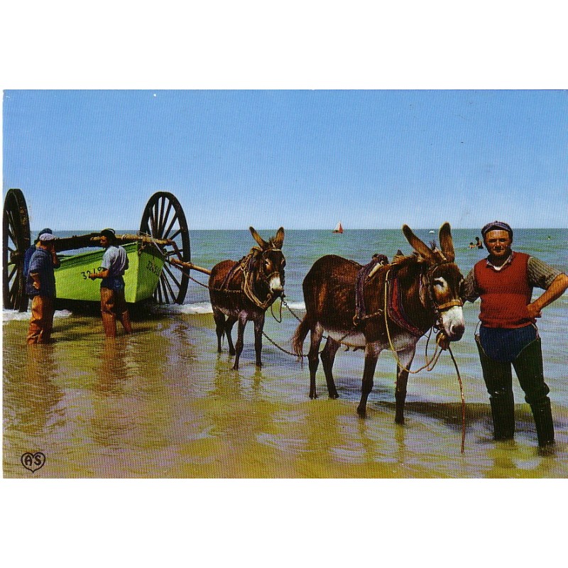 VENDEE - LA COTE VENDEENNE - ATTELLAGE D'ANES POUR SORTIR UNE BARQUE DE PECHE - CARTE NON CIRCULEE.