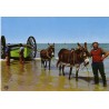 VENDEE - LA COTE VENDEENNE - ATTELLAGE D'ANES POUR SORTIR UNE BARQUE DE PECHE - CARTE NON CIRCULEE.