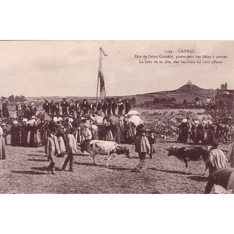 CARNAC - FETE DE SAINT CORNELY PROTECTEUR DES BETES A CORNES - ANIMATION - CARTE NON CIRCULEE.