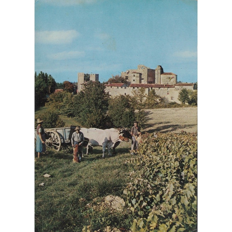 LARRESINGLE - LES VENDANGES - ATTELAGE - ANIMATION - CARTE AVEC TEXTE.