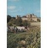 LARRESINGLE - LES VENDANGES - ATTELAGE - ANIMATION - CARTE AVEC TEXTE.