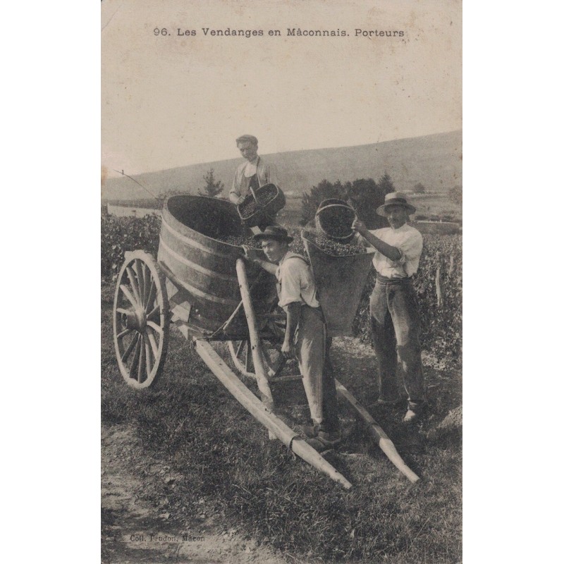 MACON - LES VENDANGES EN MACONNAIS - PORTEURS  -  METIER - CARTE DATEE DE 1909.