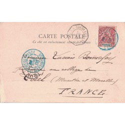 MARTINIQUE - ET GUADELOUPE - RECOLTE DES ANANAS - VERSO CACHET PAQUEBOT - CARTE DATEE DU 2-4-1903.