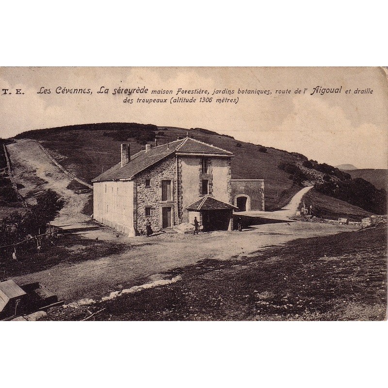 LA SEREYREDE - MAISON FORESTIERE - JARDINS BOTANIQUES - ROUTE DE L'AIGUAL - DRAILLE DES TROUPEAU - CARTE NEUVE.