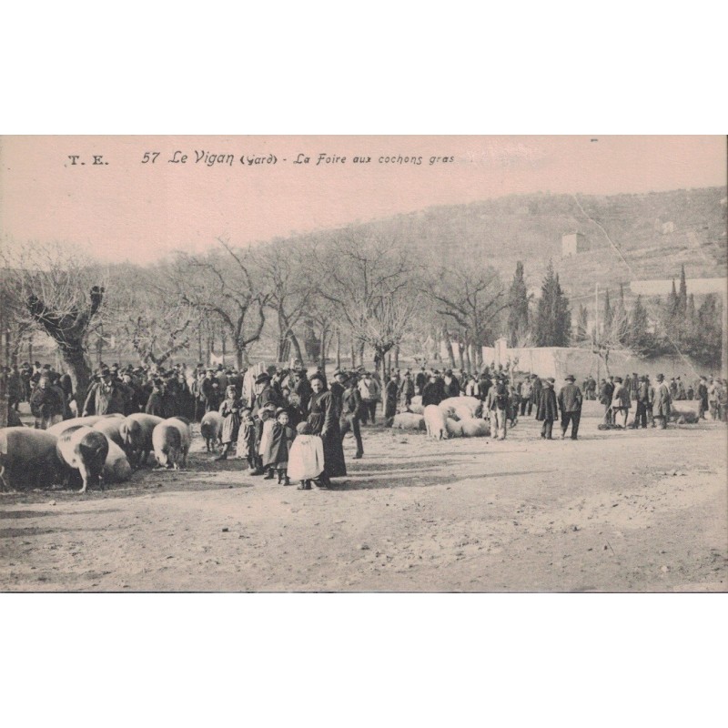 LE VIGAN - LA FOIRE AUX COCHONS GRAS - CARTE AVEC TEXTE.