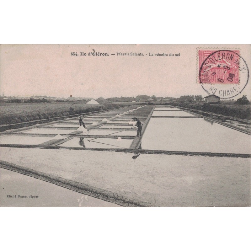 OLERON - MARAIS SALANTS - LA RECOLTE DU SEL - CARTE DATEE DE 1906.