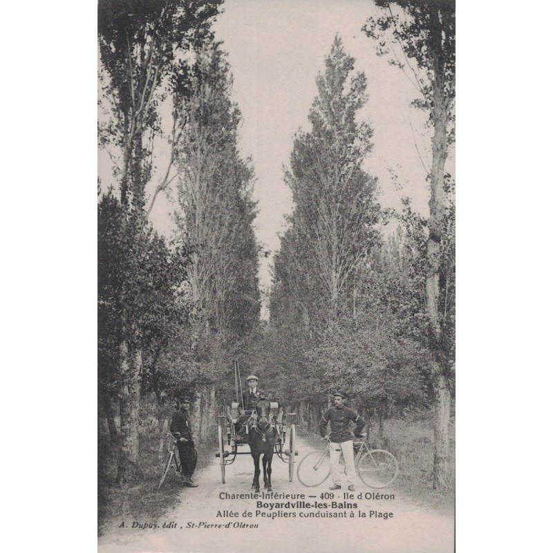 OLERON - BOYARDVILLE LES BAINS - ALLEE DE PEIPLIERS CONDUISANT A LA PLAGE - ATTELAGE - VELO - ANIMATION - CARTE NON CIRCULEE.