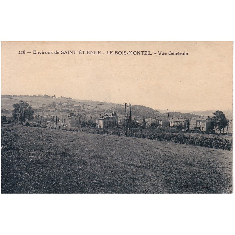 LE BOIS MONTZIL - VUE GENERALE - CARTE NON CIRCULEE.