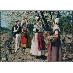 copy of copy of copy of...