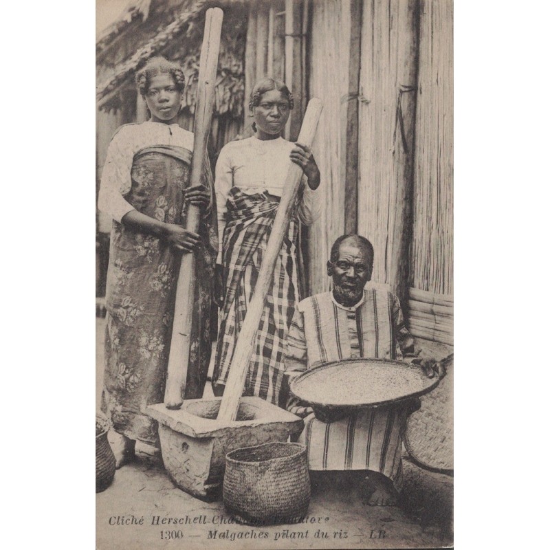 MADAGASCAR - MALGACHES PILANT DU RIZ - CARTE POSTALE NON CIRCULEE.