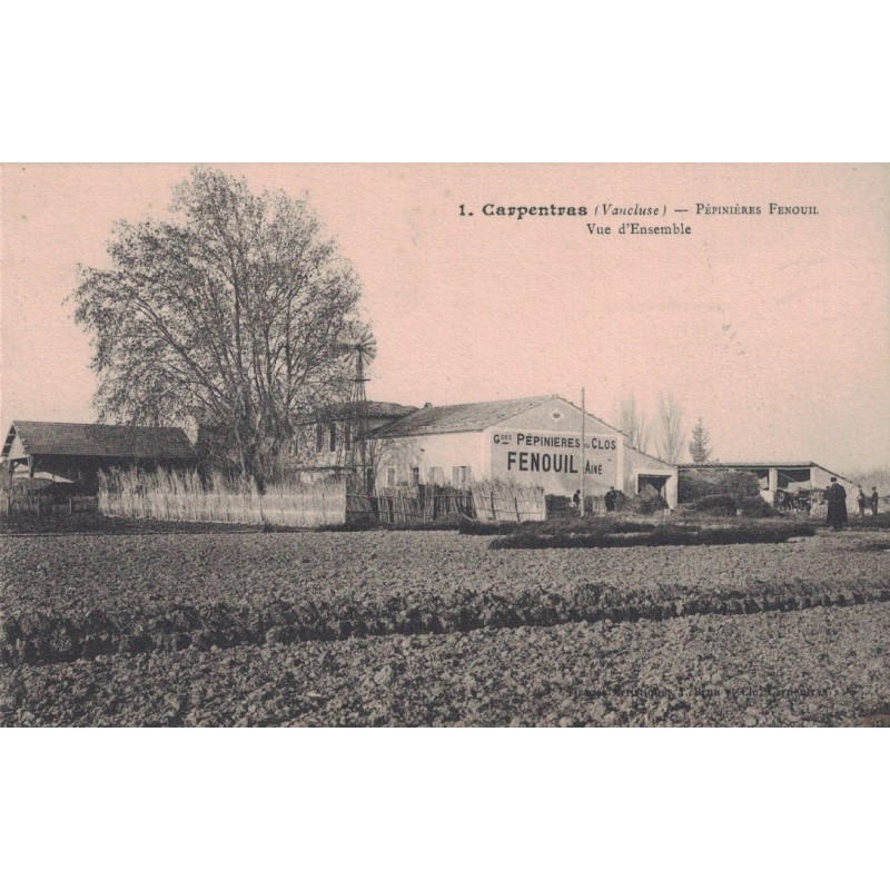 CARPENTRAS - PEPINIERES FENOUIL - VUE D'ENSEMBLE - CARTE POSTALE NEUVE.