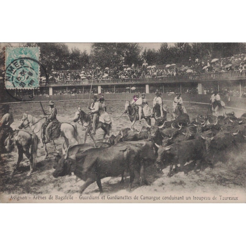 AVIGNON - ARENES DE BAGATELLE - GUARDIANS ET GARDIANETTES CONSUISANT UN TROUPEAU DE TAUREAUX  - CARTE DATEE DE 1905.