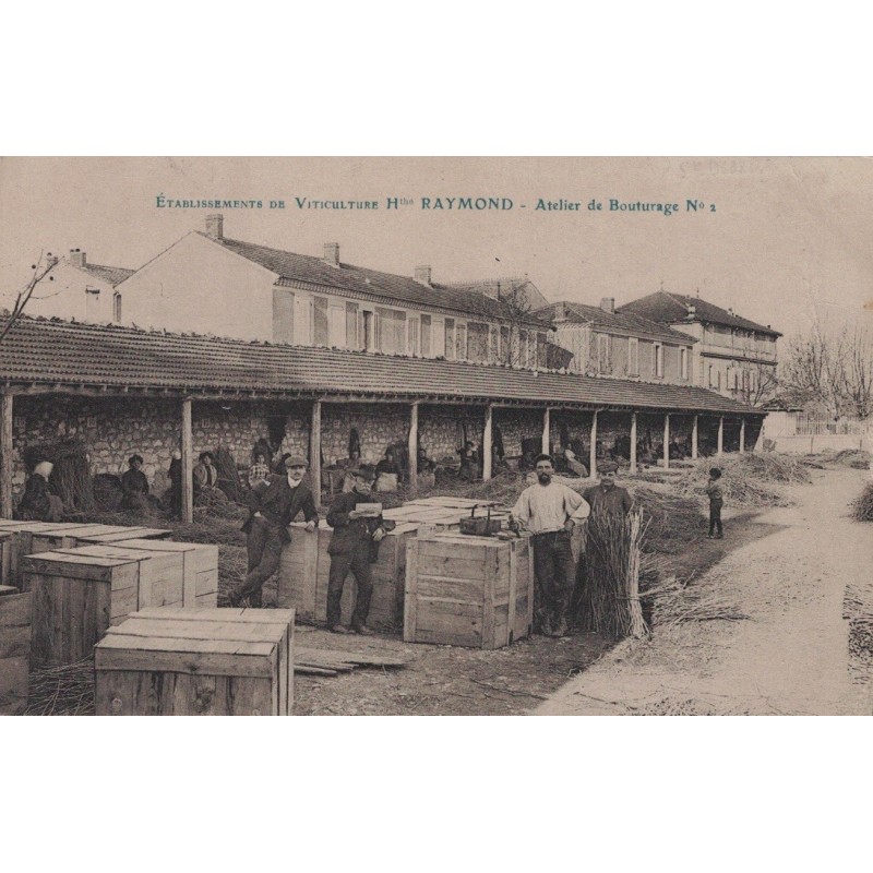 CARPENTRAS - ETABLISSEMENTS DE VITICULTURE Hthe RAYMOND - ATELIER DE BOUTURAGE N°2 -  DATEE DE 1914 - TOP CARTE.