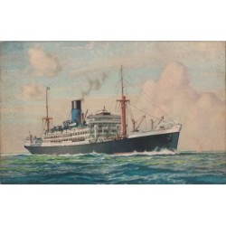 THE BLUE FUNNEL LINE -...